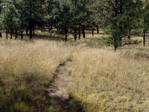 GDMBR: This is a photograph of the actual Continental Divide Trail.